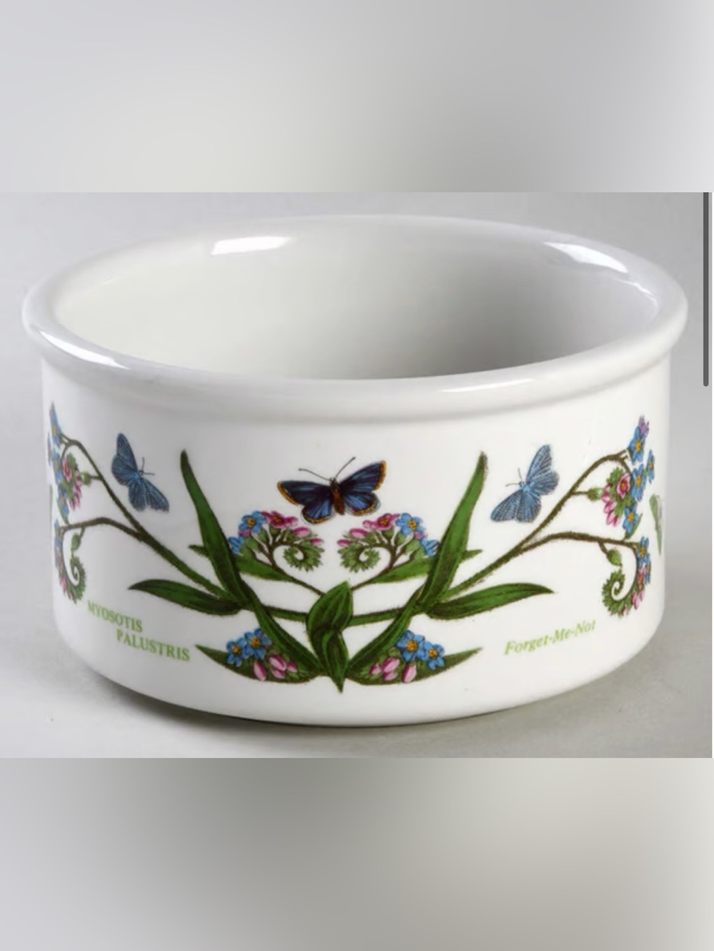 Portmeirion Botanic Garden Individual Casserole
